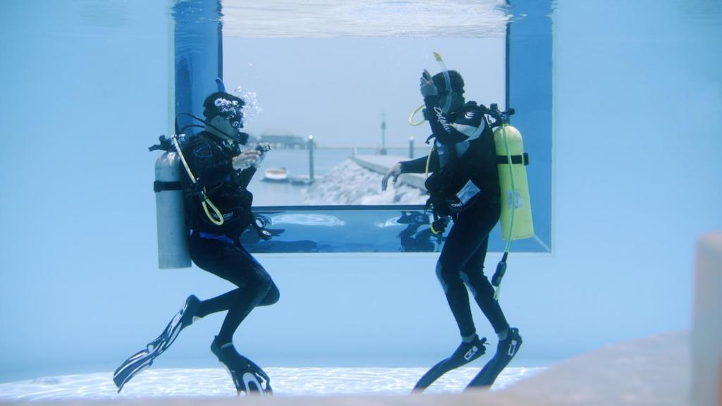Two divers underwater in front of a large viewing window